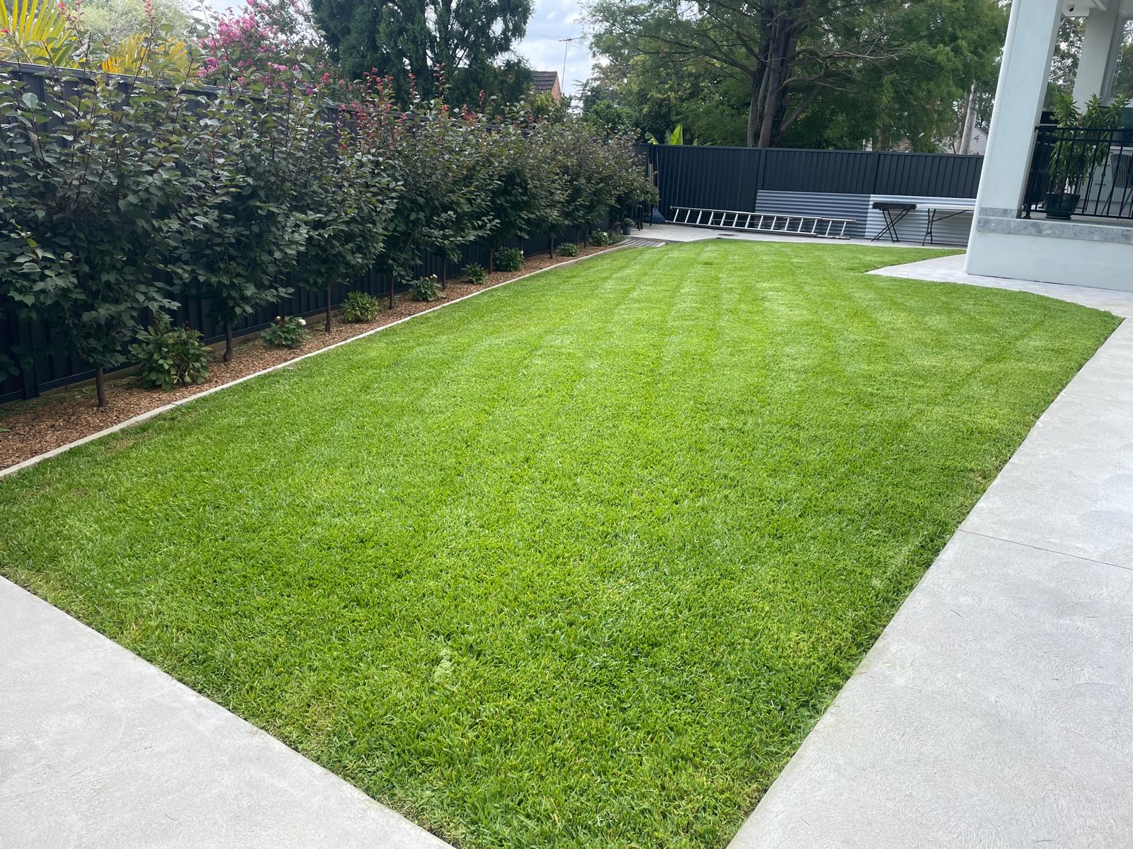 Neatly Mown Lawn
